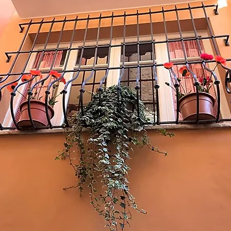 Bed & Breakfast La Rue Tortoreto